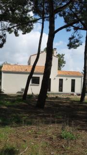 Chambre d'hôtes et Spa de la Presqu'île - La Faute-sur-Mer - 2