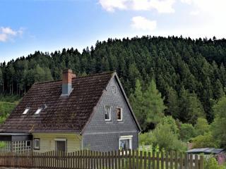 Pleasant Apartment in Wildemann - Wildemann - 7