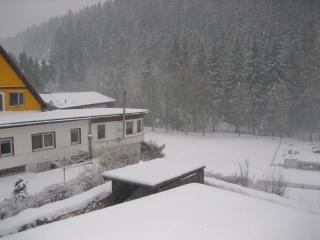 Pleasant Apartment in Wildemann - Wildemann - 9