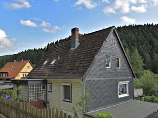 Pleasant Apartment in Wildemann - Wildemann - 0