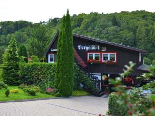 Quaint Holiday Home near Forest - Neuwerk - 3