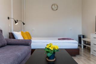Compact apartment near Food Market in the Oldtown plus Free parking - Klaipėda - 7