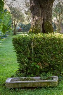 Suite Agave - Seravezza - 8