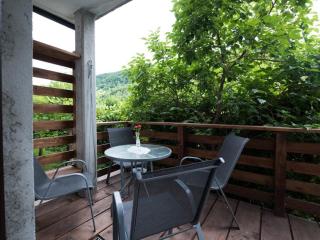 Apartma Matajurc - Trnovo ob Soči - 8
