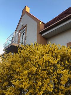 Virág Apartman - Vonyarcvashegy - 8