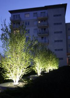 Apartament Primore - Danzig - 9