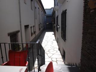 Apartamentos El Mirador - Bérchules - 2