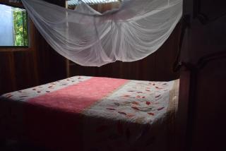 Casa Hospedaje Tingomaria - Tingo María - 3