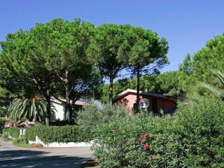 close to the sea, air-conditioned - Santa Liberata - 8