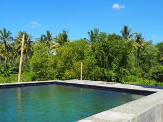 Honeybee Homestay - Kuta - 7