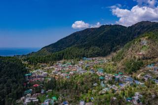 Alt Life - Dharamkot (Mcleodganj) - McLeod Ganj - 0