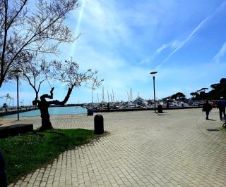 Elite19 Apartment - Bocca di Magra - 7