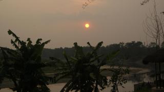 Hotel Hermitage - Sauraha - 5