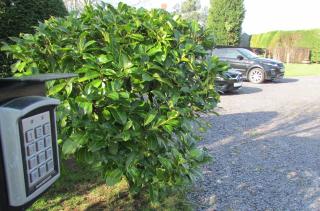 Willow Lodge Hambleton - Poulton le Fylde - 6