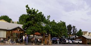 Canyons Lodge- A Canyons Collection Property - Kanab - 1