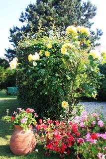 Pension de Kerioual - 7