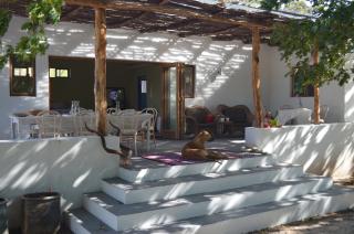 Laughing Waters Farm - 9