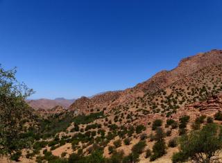 iskki-asnfou - Tafraout - 2