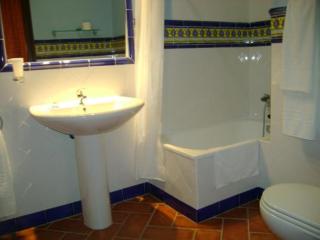 Santa Cruz - Los Palacios y Villafranca - 5