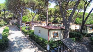 Le Esperidi Camping Ecoresort - 2
