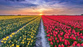 Paradise - Dirkshorn - 7