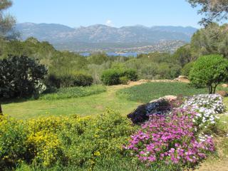 Résidence Mari di Soli - Porto-Vecchio - 6
