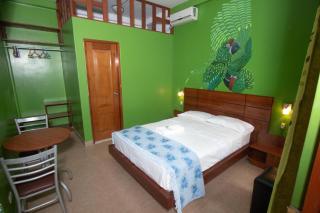 Amazon City - Pucallpa - 8
