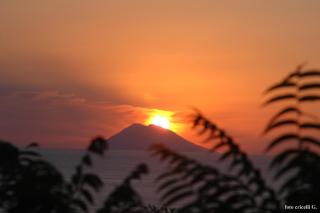 Appartamento Terry - Casa vacanze - 4