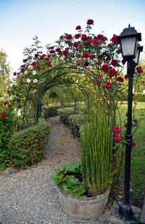 Agriturismo Argaland - Parme - 1