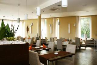 Hotel Lions Plzen - Plzeň - 7