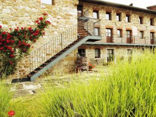 Agriturismo l'Uva e le Stelle - Faedis - 4