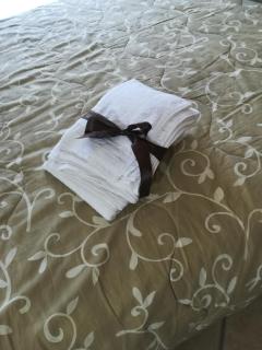 CALLIMACO'S HOME Comfort e Deluxe - Capaccio-Paestum - 3