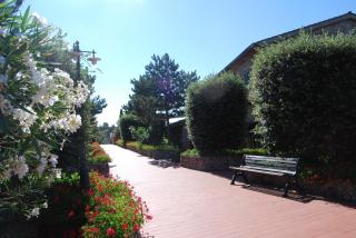 Hotel Fattoria Belvedere - Guardistallo - 4