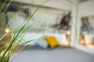 Home - Dahme - 6