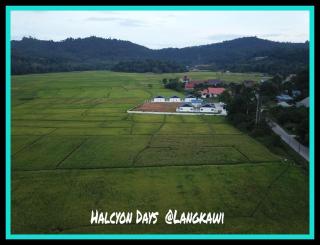 Halcyon Days @ Langkawi - Pantai Cenang - 3