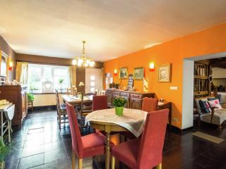 Spacious Holiday Home With Fireplace - Doische - 8