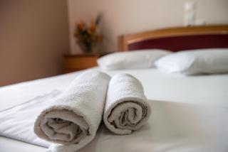 Hotel Alexandros - Neoi Poroi - 2