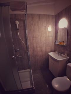 Hotel Komfort Inn - Dwór Hubertus - Piekary Śląskie - 1