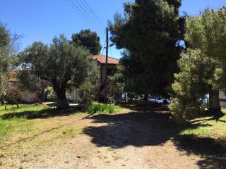 The House by the Sea - Metamorfosi - 5