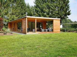 Modern lodge with wood stove near Almelo - Enter - 0