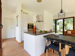 Modern lodge with wood stove near Almelo - Enter - 5