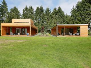 Modern lodge with wood stove near Almelo - Enter - 9