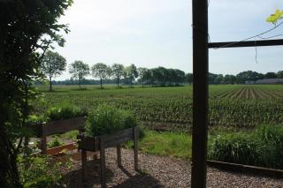 BnB De Peelvos - Deurne - 2