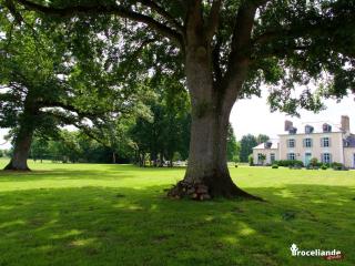 Château Du Pin - Teritoria - 1