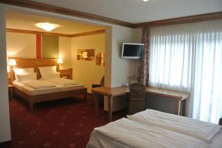 Hotel Jägerhof - Weibersbrunn - 7