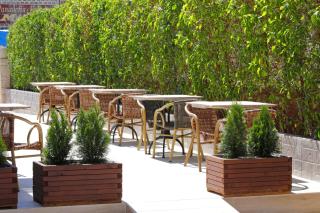 Nura Santa Ponsa & Spa - Santa Ponsa - 7