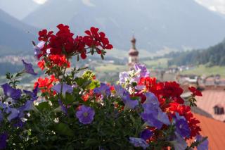 Haus Wendelin - 8
