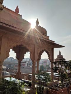 Gypsy Monkey - Jaipur - 5