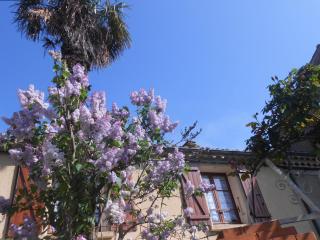 Maison Palmeral - Coustaussa - 8