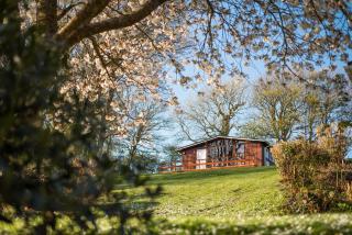 Timber Hill Self Catering Cedar Lodges - 2